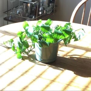 Meet your Posher, Ron